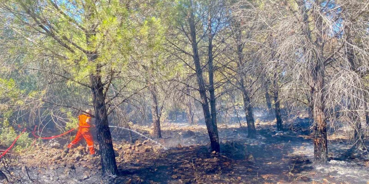 Antalya’da 2 Dönüm Ormanlık Alan Yandı