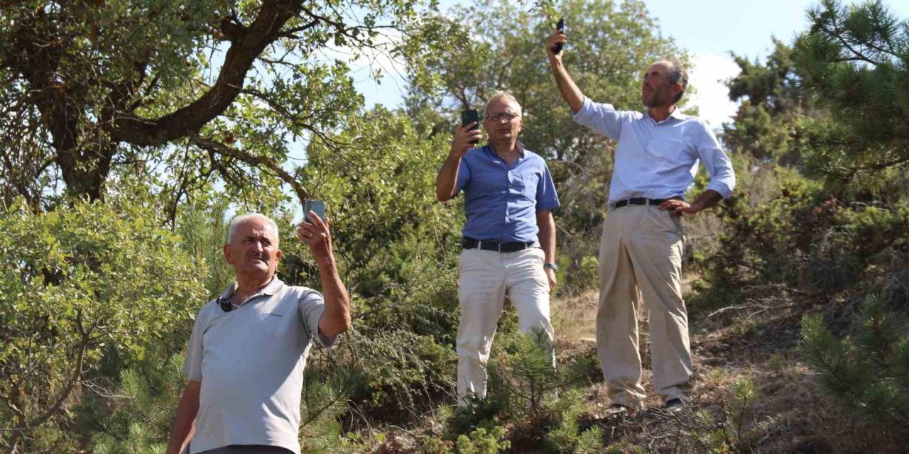 Yangını Zamanında İtfaiyeye Haber Veremeyince Hasat Ettiği Ürünler Kül Oldu