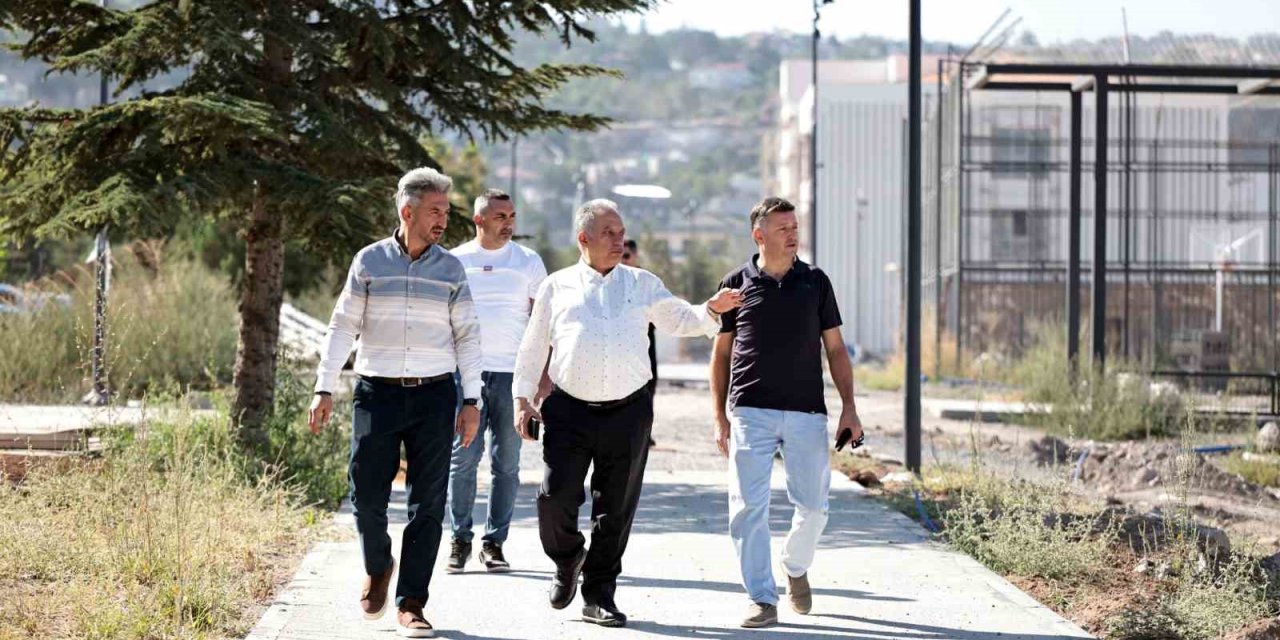 Talas Millet Bahçesi Işıl Işıl