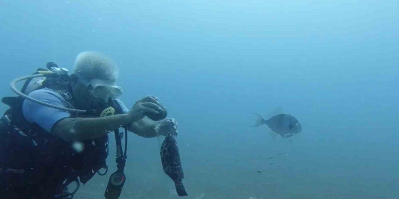 Denize Atılan Plastik Şişede Sıkışan Orfoz Balığını Dalış Yapan Profesör Kurtardı