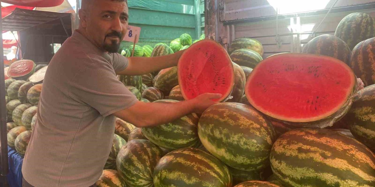 Verimi Yüksek Olan Karpuzun Fiyatı Yüzde 100’den Fazla Düştü