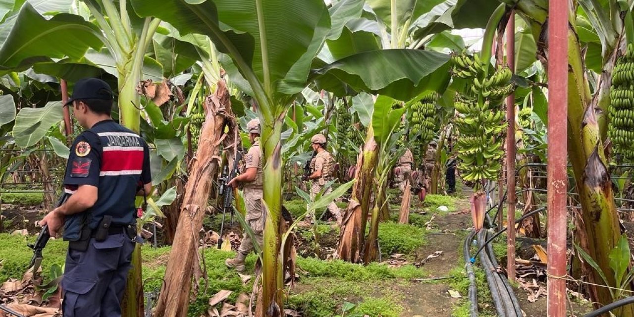 Bu Bahçelere Girmeyi Düşünen Hırsızlar İki Kez Düşünmek Zorunda Kalacak