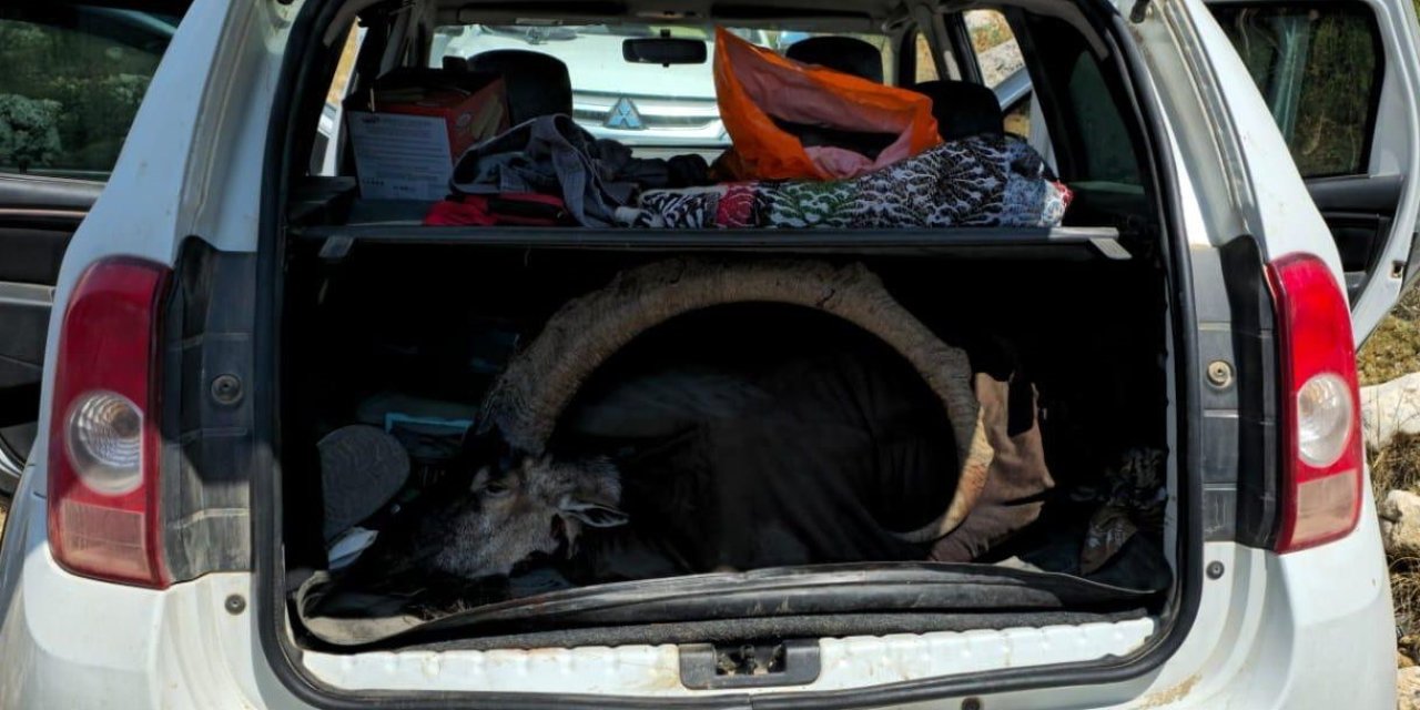 Yaban Keçisi Avlayan 2 Şahsa 1 Milyon 315 Bin Tl Ceza Kesildi