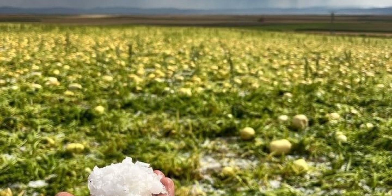 Çifteler ’de Sağanak Ve Dolu Yağışı Etkili Oldu