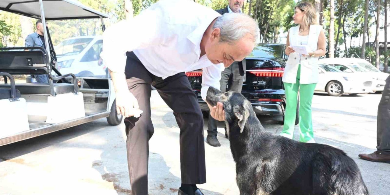 Başkan Kocagöz’den ’köpek Yakıldı’ İddialarına Cevap
