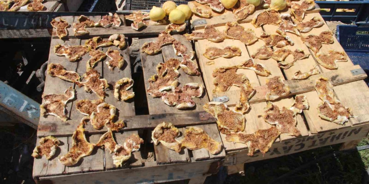 Mersin’de Mut Beyaz İncir Altın Yılını Yaşıyor