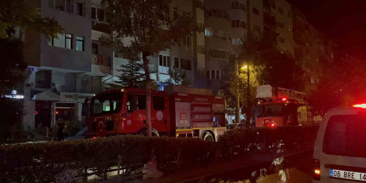 Çıkan Yangında Dairede Bulunan 2 Kedi Tüm Çabalara Rağmen Kurtarılamadı