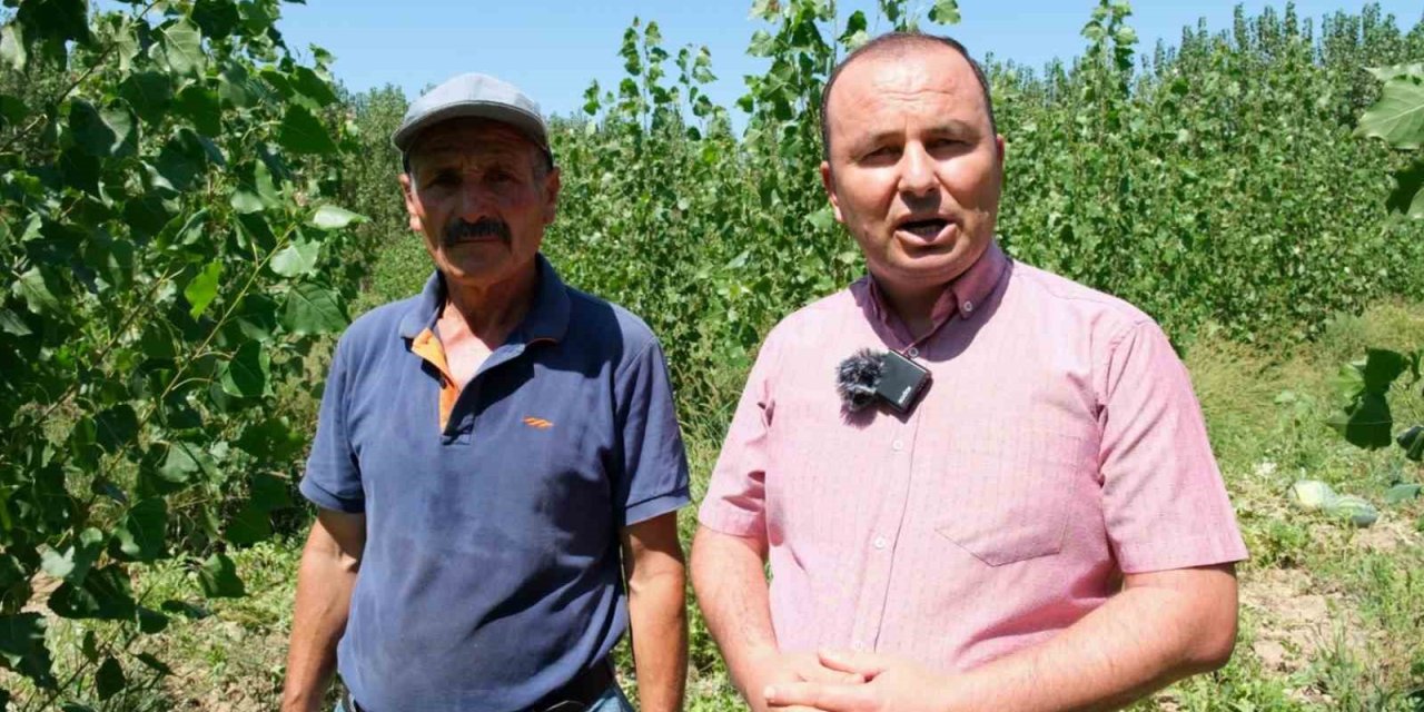 Mersin’de Karpuz Hasadı Başladı