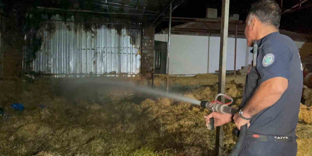 Eskişehir’de Samanlık Yangını: 2 Bin Balya Saman Ve 1 Traktör Küle Döndü