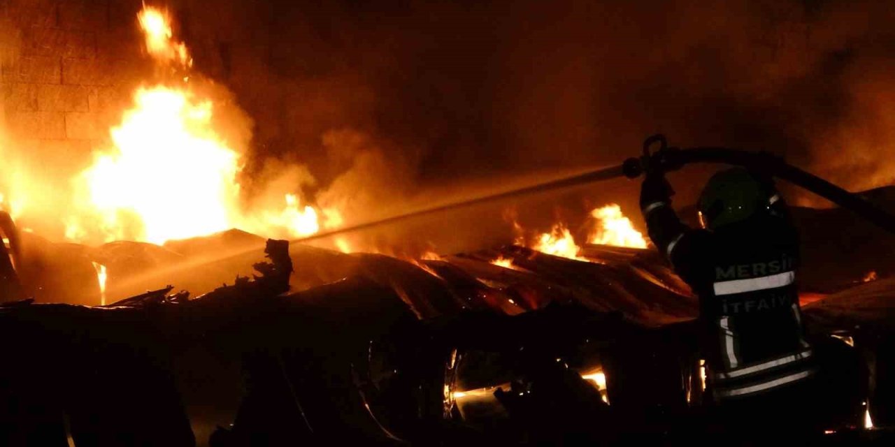 Mersin’deki Yangında Limon İşleme Ve Paketleme Tesisi Küle Döndü