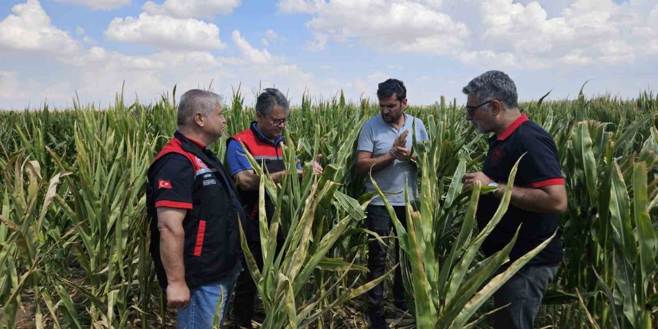 Eskişehir Tohumluk Üretimini 10 Bin Dekardan 200 Bin Dekara Ulaştı