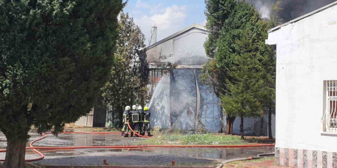 Sünger Fabrikasında Büyük Yangın
