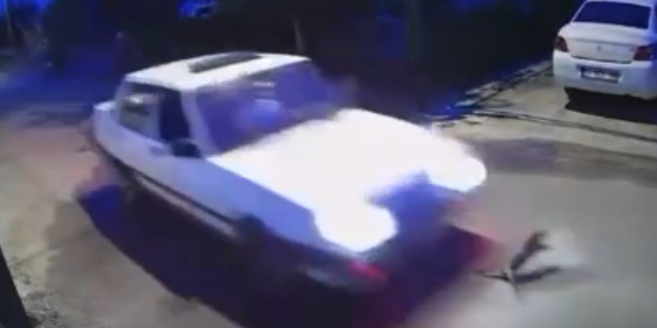 Yola Çıkan Kedi Araç Altında Telef Oldu, Sürücü Yoluna Devam Etti