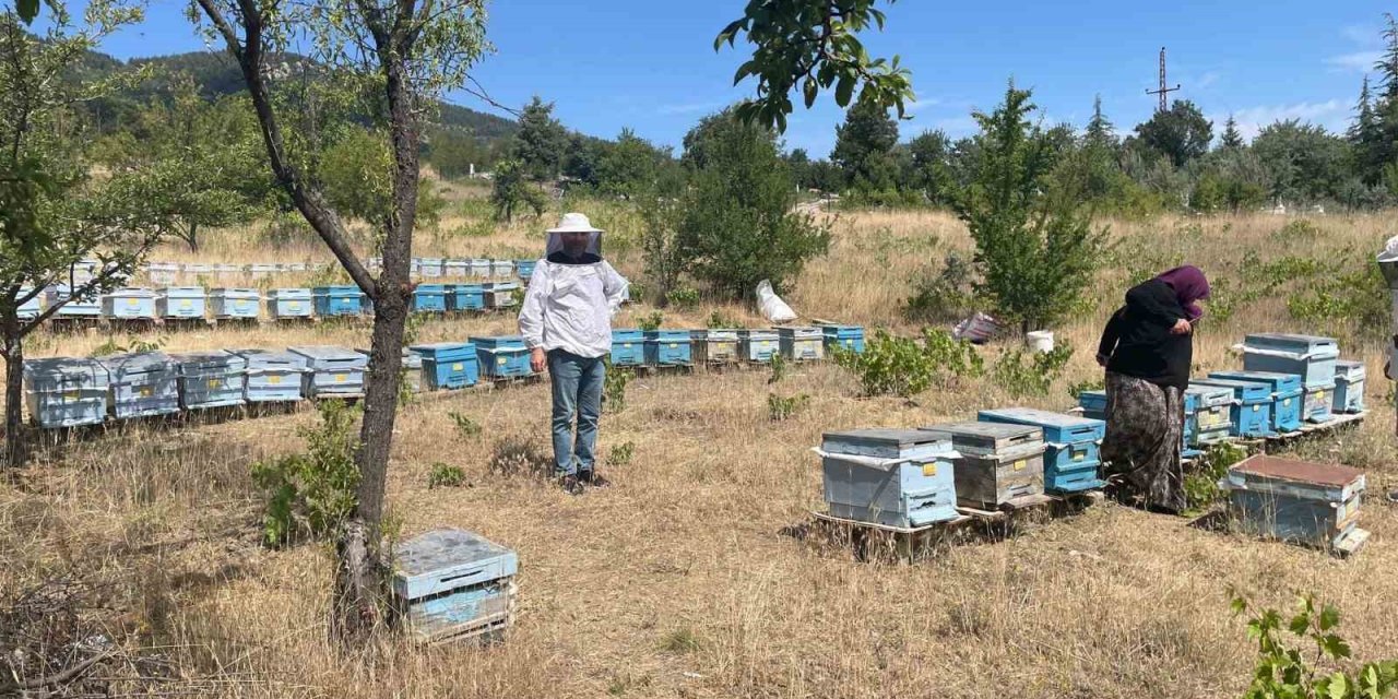 Beyşehir’de Arılı Kovan Sayımları Sürüyor