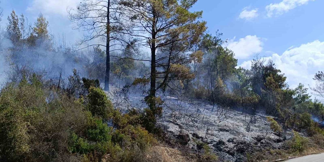 Antalya’da Tarım Arazisi Yandı, 3 Sera Zarar Gördü