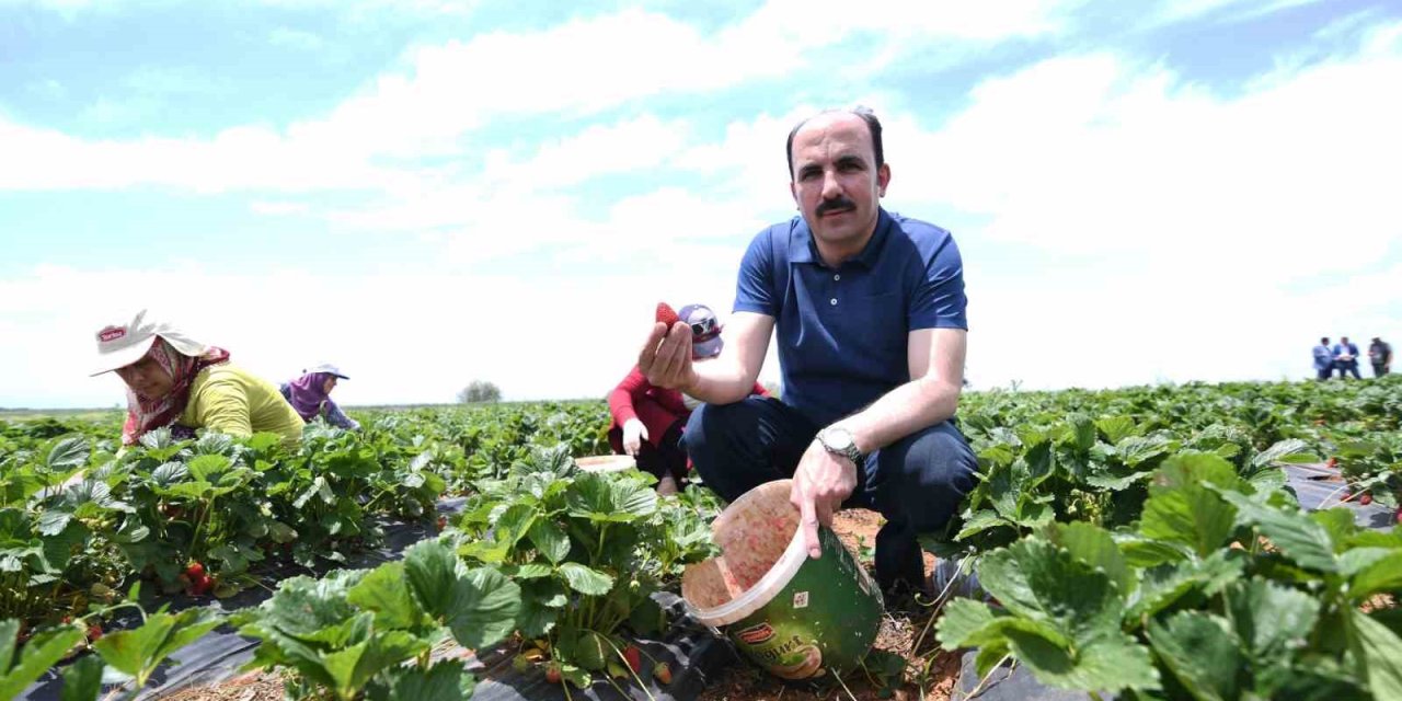 Başkan Altay: “hüyük Çileği Ab Tescili Alan Konya’mızın İlk Ürünü Oldu, Hayırlı Olsun"