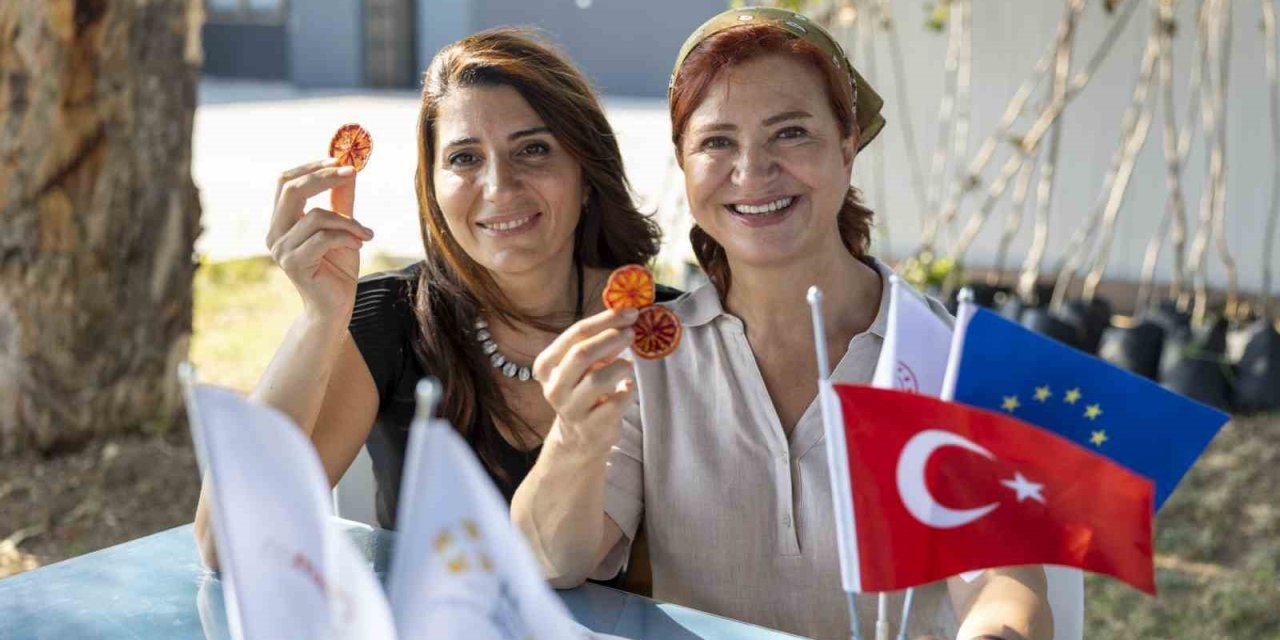 Yenilenebilir Enerjiyle Kurutulan Ürünler Ulusal Pazarda Yer Buldu