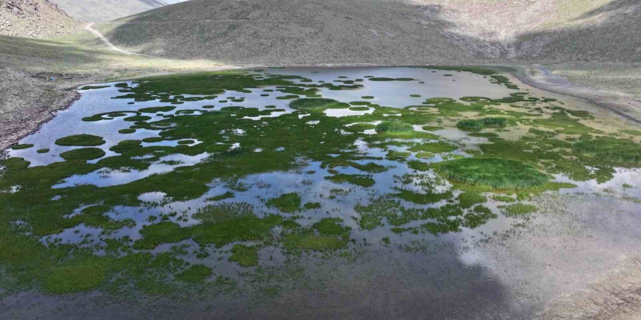 Başkan Özdoğan: “sarıgöl’ü Herkesin Görmesi Gerekir”