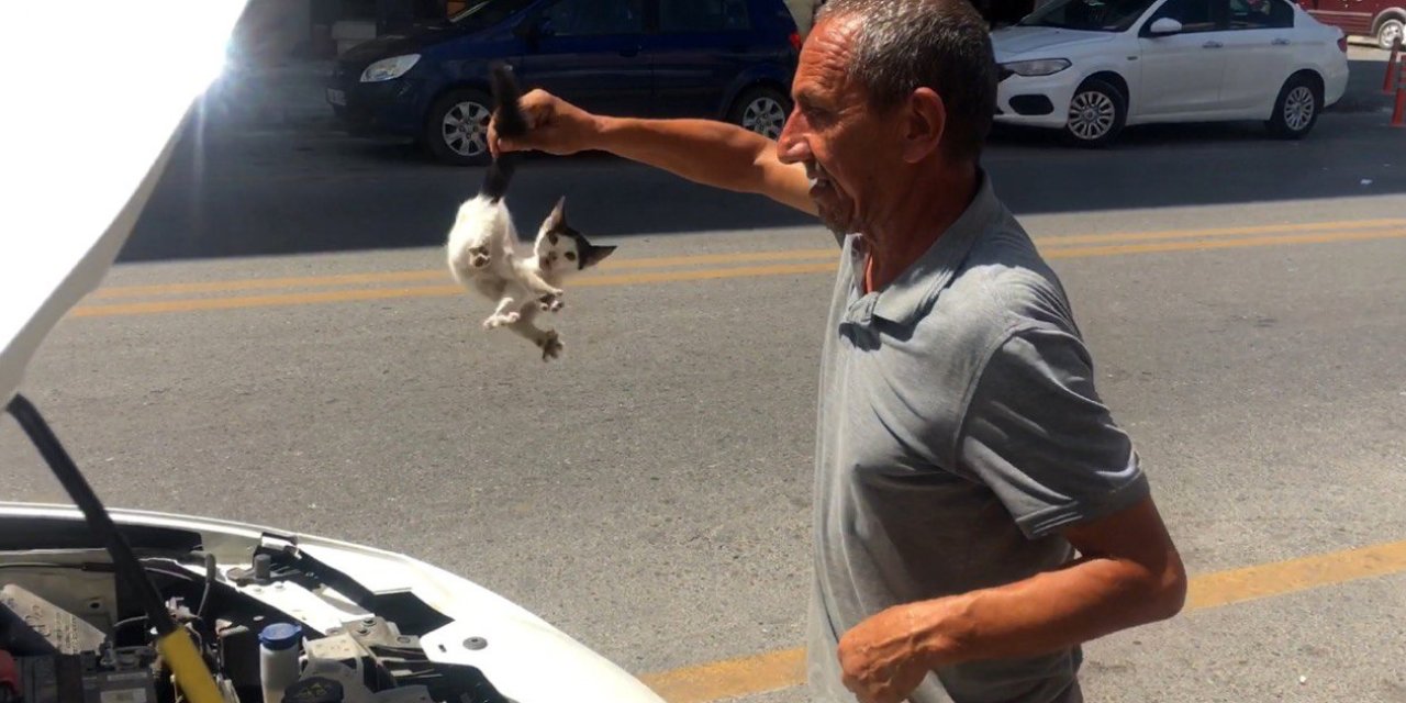 Duyarlı Vatandaşlardan Kedi Operasyonu