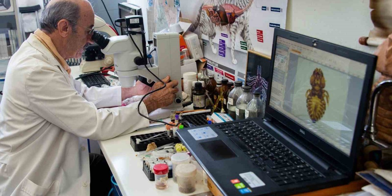 Selçuk Üniversitesinden Biyolojik Çeşitliliğine Katkı