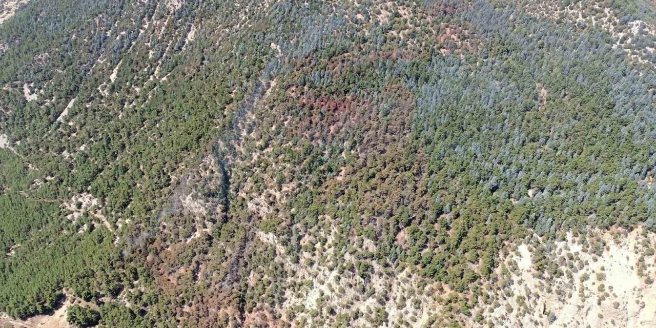 Kumluca’daki Yangında 15 Hektar Ormanlık Alan Zarar Gördü