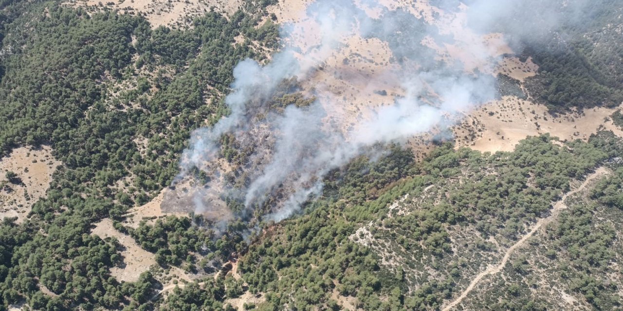 Kaş’ta Orman Yangını