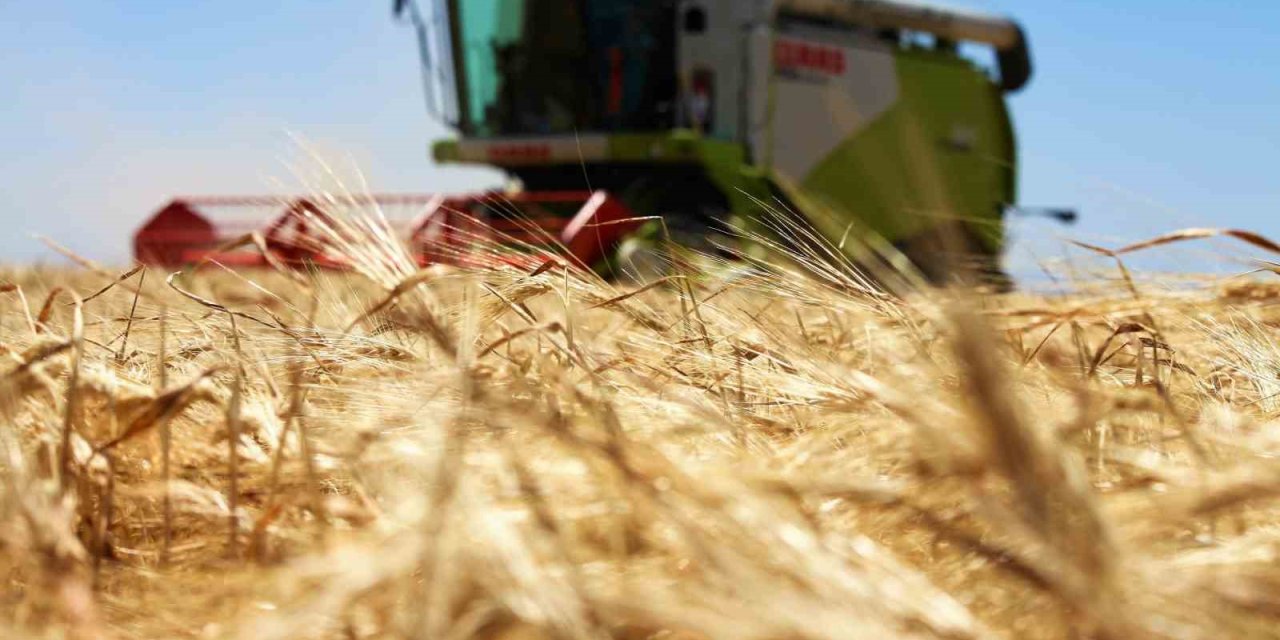 Tarım Başkenti Konya, 11 Üründe Üretim Miktarı Olarak Türkiye’de Birinci