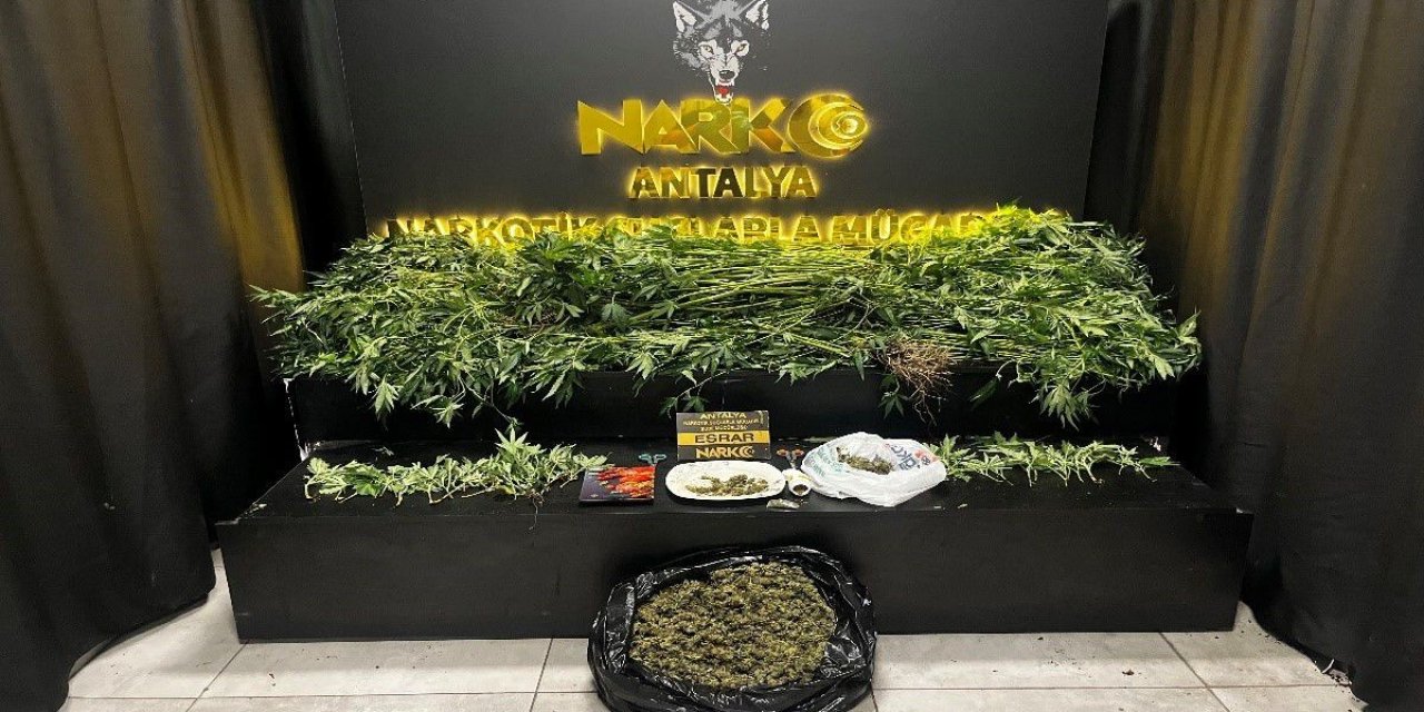 Antalya’da 42 Adrese Eş Zamanlı Uyuşturucu Operasyonu