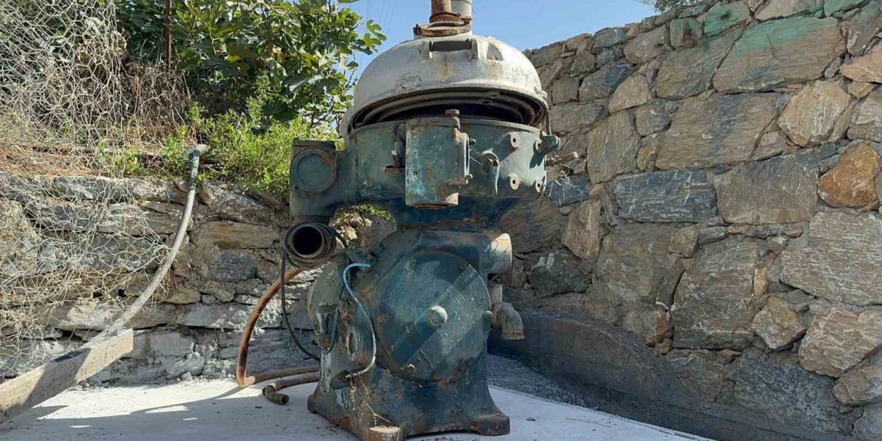 Zeytin Üreticilerine Erken Hasat Uyarısı