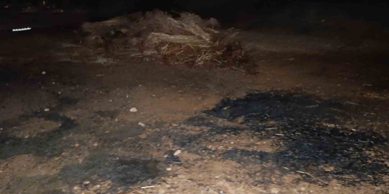 Ev Yangını İhbarına Giden İtfaiye Yanan Susamlarla Karşılaştı