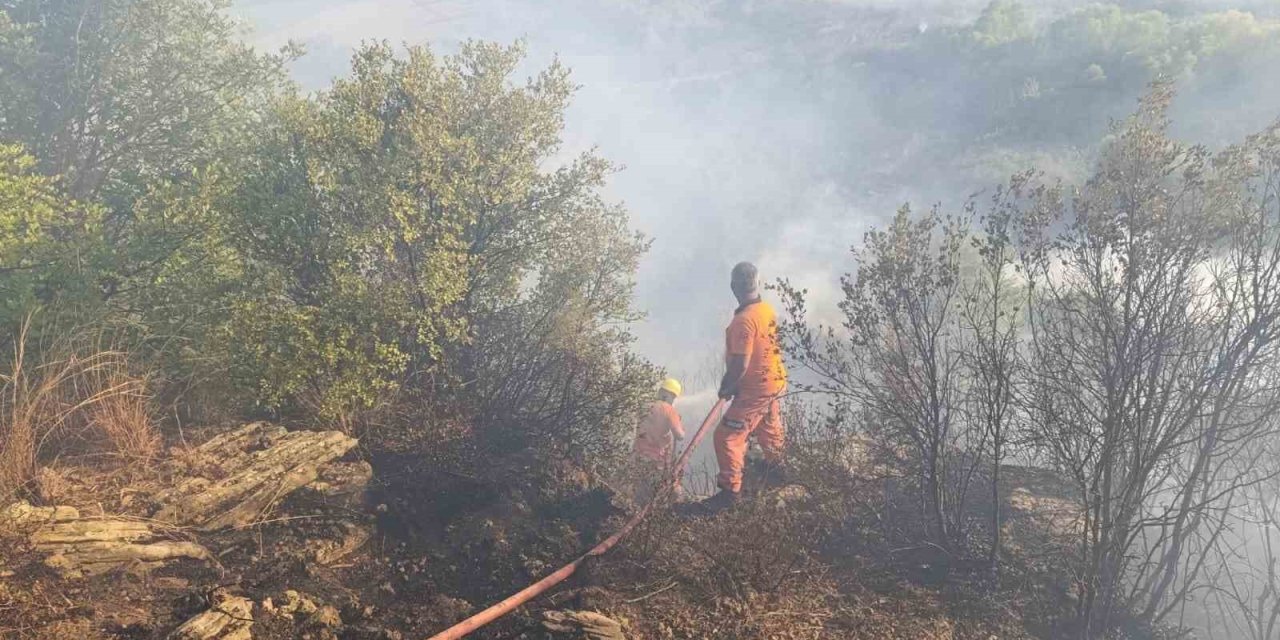 Antalya’da Orman Yangını