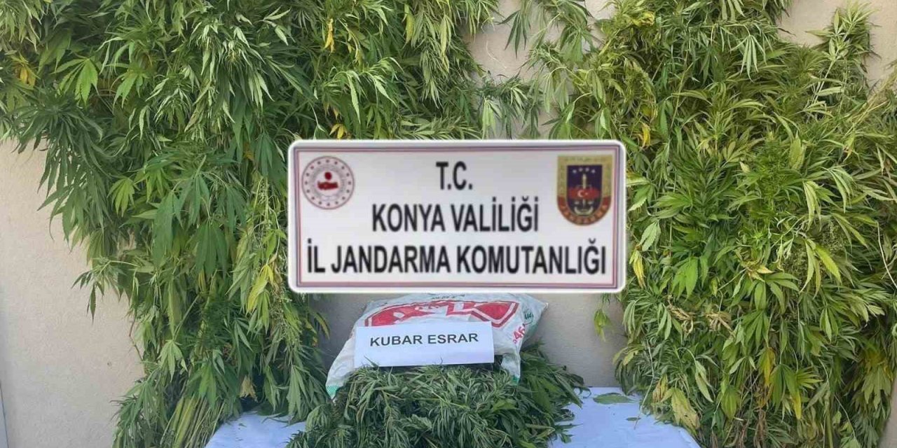 Konya’da Jandarmadan Uyuşturucu Operasyonu: 2 Gözaltı