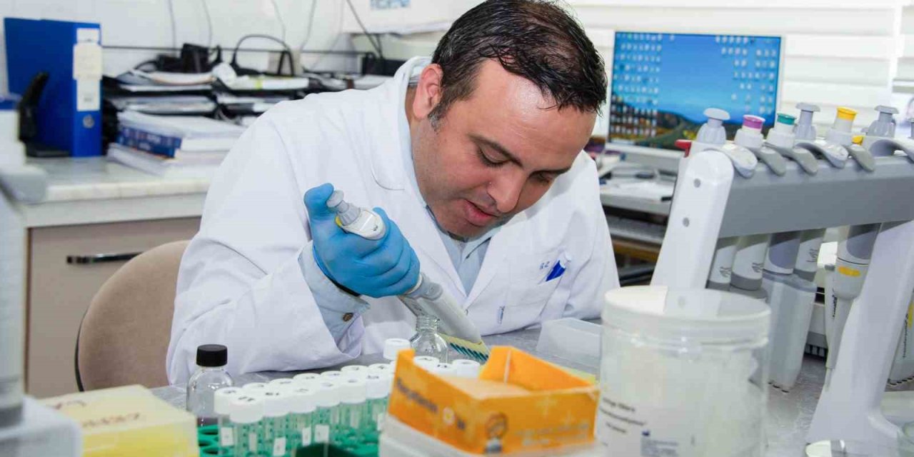 Alzheimer, Obezite Ve Şeker Hastalıklarının Tedavisinde Bitkisel İlaçlar Araştırılıyor