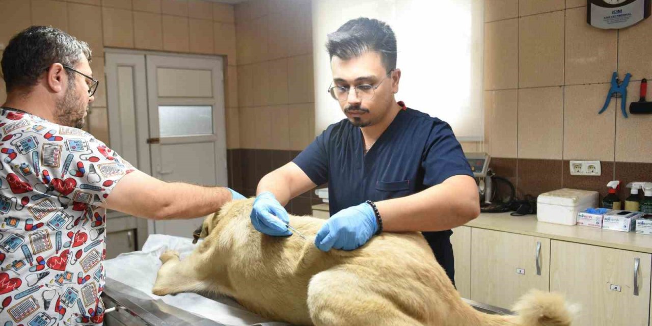 Kepez’den Can Dosta Sıcacık Dokunuş