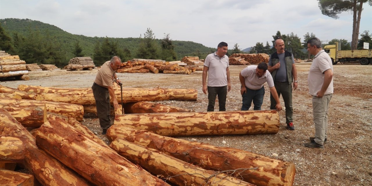 Bölge Müdürü Ataş, Tarsus’ta Ormancılık Faaliyetlerini İnceledi