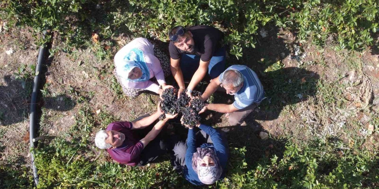 Ata Toprağını Üretime Geçirdi, Şifa Deposu Meyve Üretti