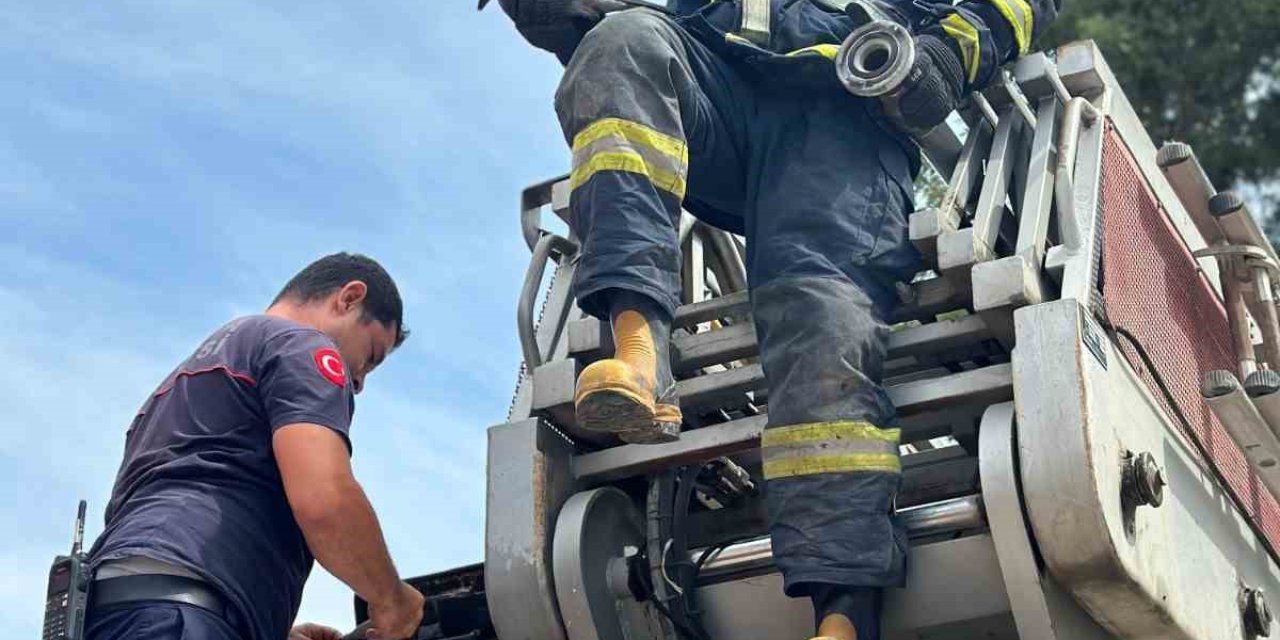 Ayağına Misina Dolanıp Ağaçta Mahsur Kalan Karga Kurtarıldı