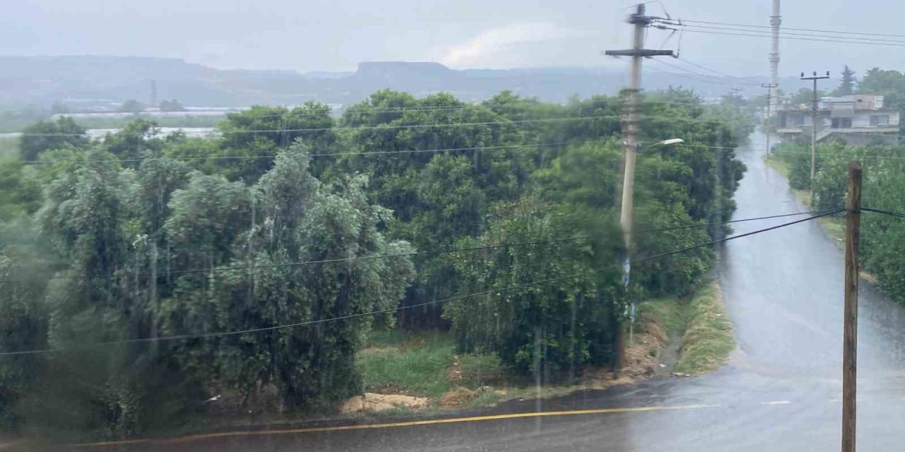 Mersin’de Sağanak Etkili Oldu, Yıldırımın İsabet Ettiği Ağaç Yandı