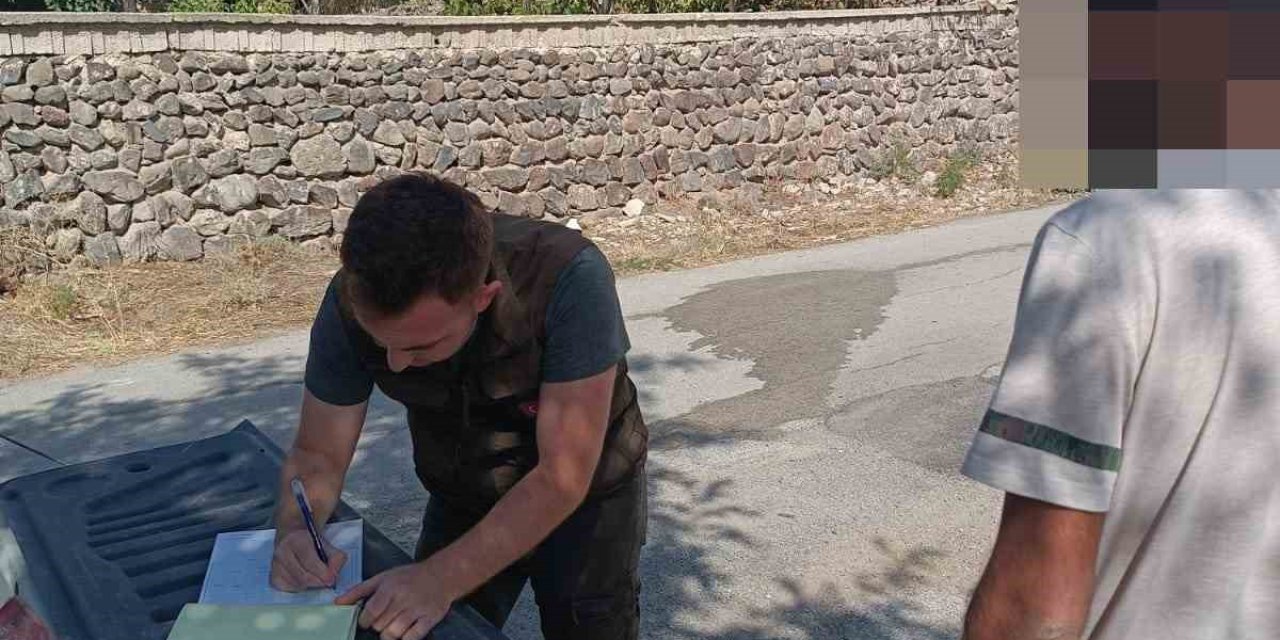 Kınalı Keklikler Yeniden Doğayla Buluşturuldu