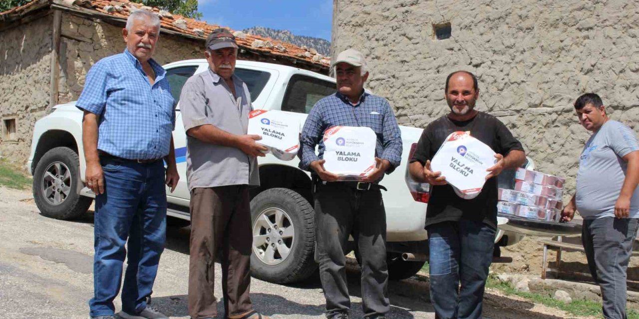 Büyükşehir “çoban Haritası” Çıkarıyor