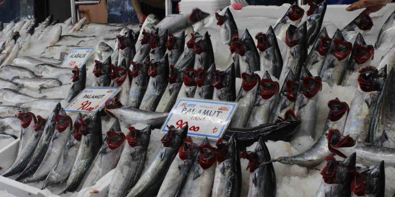 Palamudun Bolluğu Yüz Güldürüyor