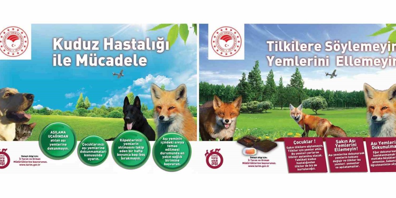 Kuduza Karşı Yaban Hayvanlarının Aşılama Çalışmaları Devam Ediyor