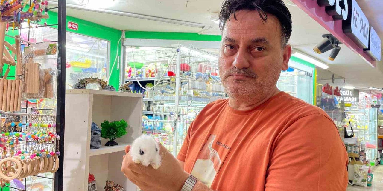 Pet Shop’lardan Alınan Hayvanlar Geri Getiriliyor