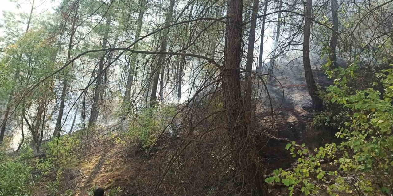 Kumluca’da Orman Yangını Büyümeden Söndürüldü