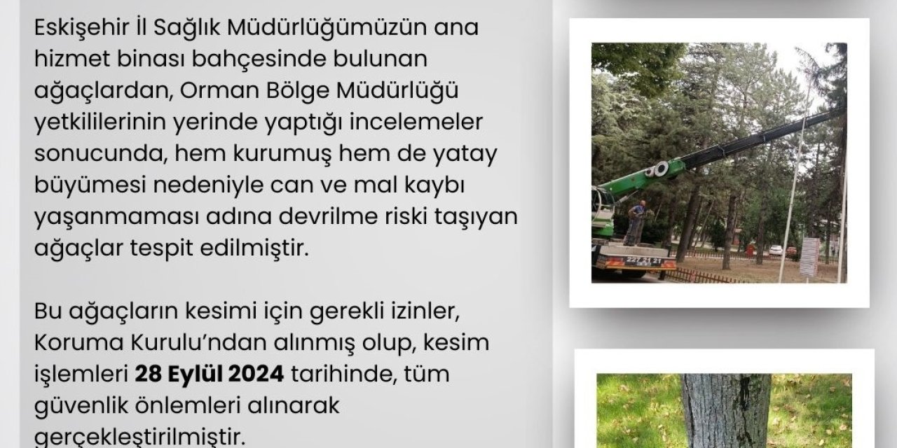 Eskişehir İl Sağlık Müdürlüğü’nün Bahçesindeki Riskli Ağaçlar Kesildi