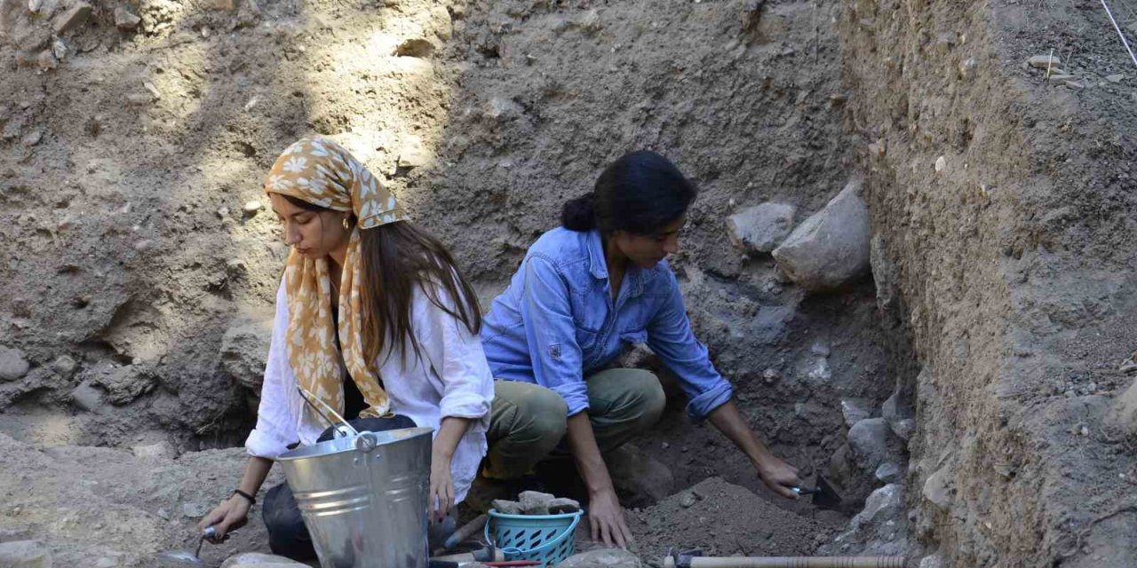 Yeni Tip Kaplıca Buğdayın En Eski Kalıntıları Sadece Anadolu’da Tespit Edildi