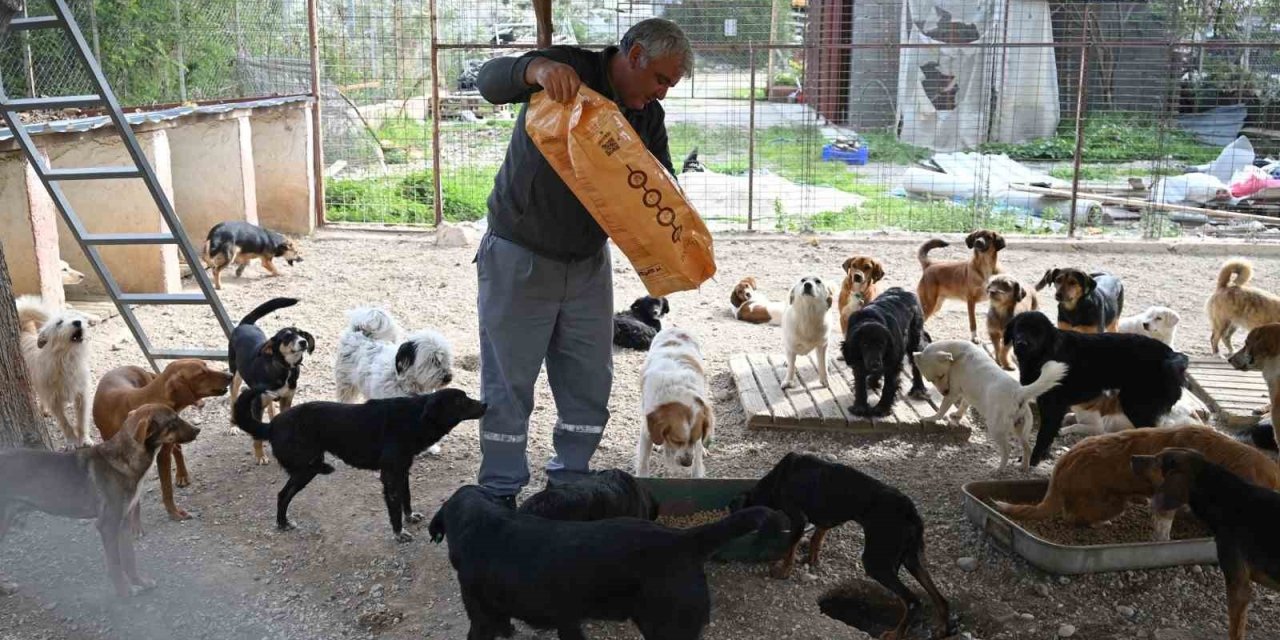 Kemer Belediyesi Mama Üretim Tesisini Açıyor