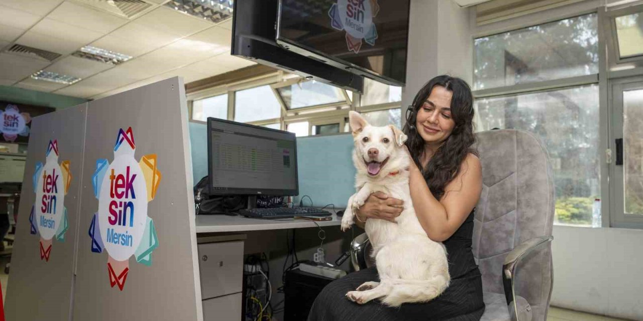 Yaşamı Sahiplen Destek Büyükşehirden Kampanyası Sürüyor