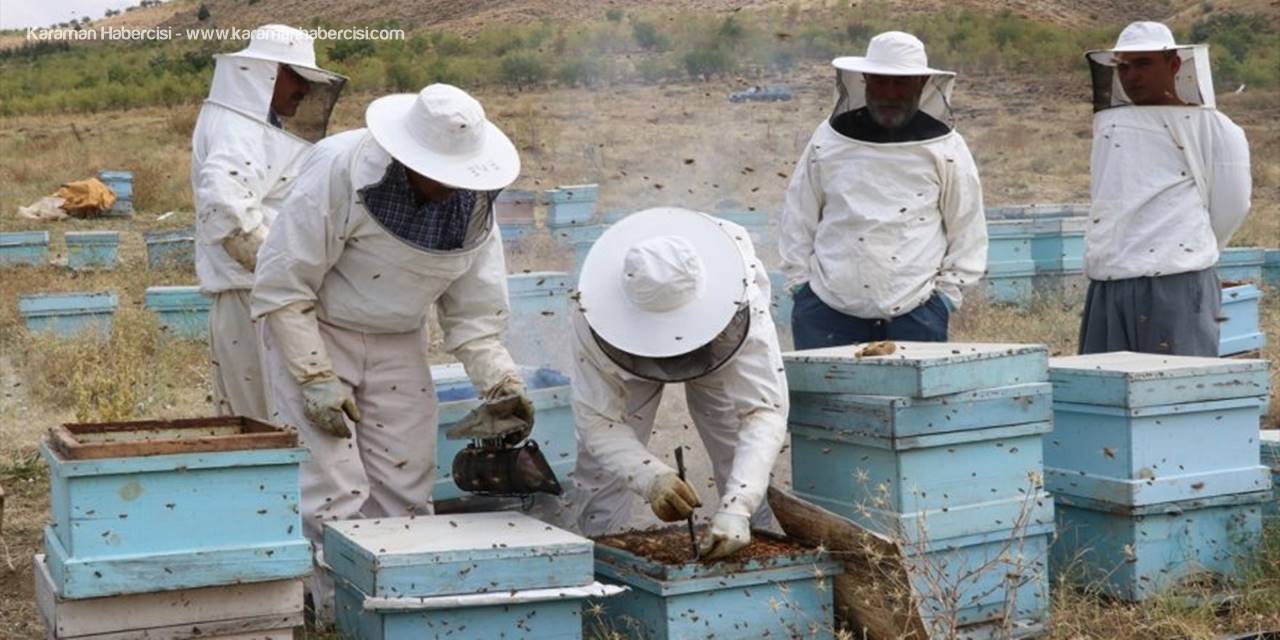 Haziran Yağışları Bal Üreticisinin Yüzünü Güldürdü