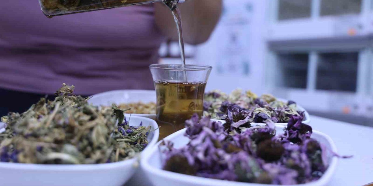 Bağışıklık Sistemini Güçlendiren Dört Bitki Karışımı: ‘amber Çiçeği Çay’